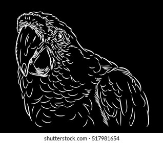 Portrait of Ara parrot prints in the style of (doodle)