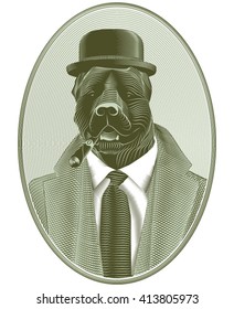 Portrait of aristocratic gentleman in bowler hat with a cigar, like a Staffordshire terrier. Vector imitation engraving on metal. Banknote style.