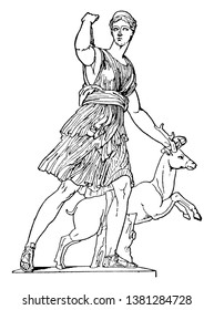 Portrait of Artemis, goddess of hunting, after protecting a stag, vintage line drawing or engraving illustration.