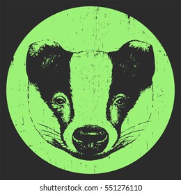 Portrait of Badger. Hand-drawn illustration. Vector