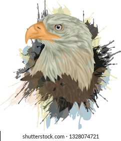 Portrait Bald eagle - Bald eagle hand drawn vector illustration