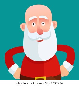 Portrait of bald and smiling Santa Claus. Baldness aged man with gray-haired beard and mustache. Vector illustration, flat design, cartoon style, isolated background.