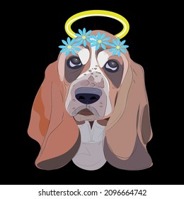 Portrait of a basset hound with a halo and a wreath of blue flowers on his head on a black background. Vector illustration