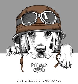 Portrait of a Basset Hound in retro brown motorcyclist helmet on gray background. Vector illustration.