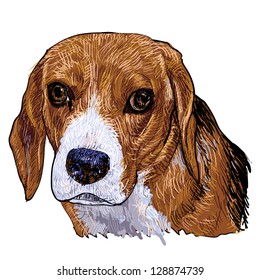 The portrait of Beagle