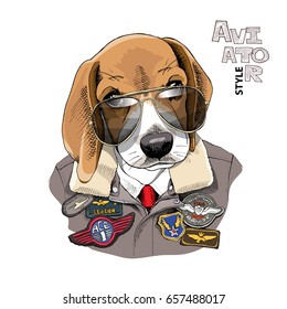 Portrait Of The Beagle In A Aviator Glasses And Leather Jacket With A Sewing Embroidery Patch. Vector Illustration.