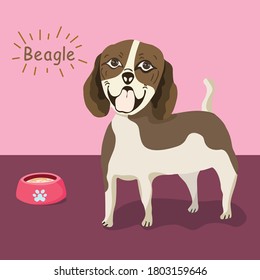 Portrait of a beagle dog and a bowl of rice on a pink background. Vector illustration.