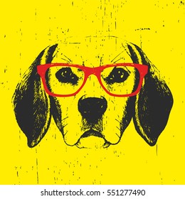 Portrait of Beagle Dog with glasses. Hand drawn illustration. Vector.