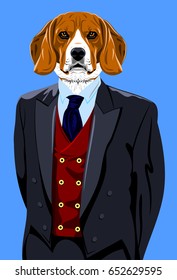 Portrait of a beagle dog in a man's business suit 