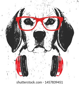 Portrait of Beagle with glasses and headphones. Hand-drawn illustration. T-shirt design. Vector