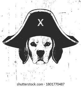 Portrait of Beagle with a pirate hat. Vector. 