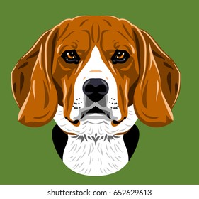 Portrait of the Beagle Terrier