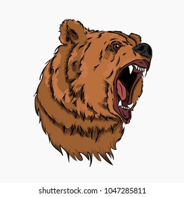 Portrait of bear. Can be used for printing on T-shirts, flyers, etc. Vector illustration