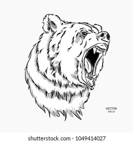 Portrait of bear. Can be used for printing on T-shirts, flyers, etc. Vector illustration