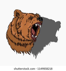 Portrait of bear. Can be used for printing on T-shirts, flyers, etc. Vector illustration