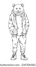 Portrait of Bear dressed in a jacket and trousers. Hand-drawn illustration. Vector