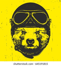 Portrait of Bear with Helmet. Vector