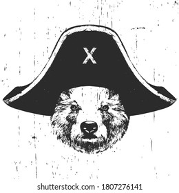 Portrait of Bear  with pirate hat. Vector. 