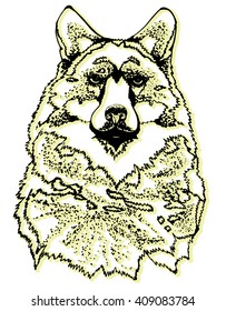Portrait of a bear. Stylized bear. Forest inhabitant. Bear Head. Line art. Black and white drawing by hand. Decorative. Tattoo.