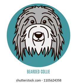 Portrait of Bearder Collie. Vector illustration in style of flat