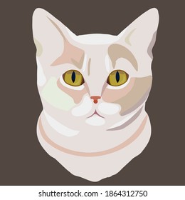 Portrait of a beautiful cat. The cat is beige. Beautiful cat.