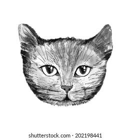 A portrait of a beautiful  cat. Vector illustration.