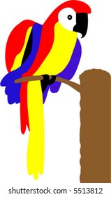  portrait of a beautiful parrot