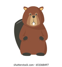 portrait of beaver. cute face of aquatic fluffy rodent vector