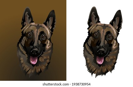 Portrait of a Belgian Shepherd for the logo 
Set for logo and chevron  
Surprised funny dog of the malinois breed
