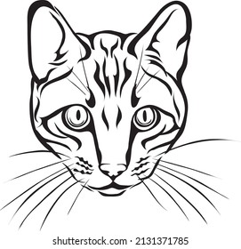 portrait of Bengal cat in black and white for logo, trademark, print and tattoo