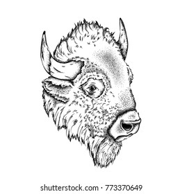 Portrait of a bison. Can be used for printing on T-shirts, flyers and stuff. Vector illustration
