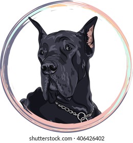 Portrait black dog Great Dane breed in the round frame