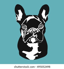 portrait of a black French bulldog