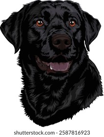 Portrait of a black labrador, vector illustration of a dog