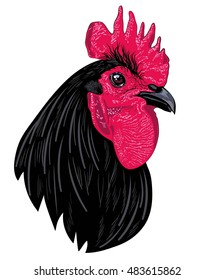 portrait black rooster