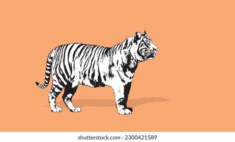 Portrait of a black and white tiger, flat style.Vector