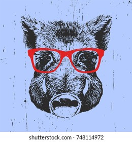 Portrait of Boar with glasses, hand-drawn illustration, vector
