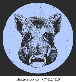 Portrait Of Boar, Hand-drawn Illustration, Vector
