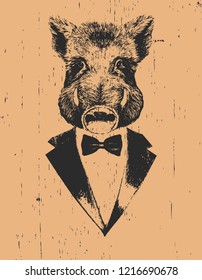Portrait of Boar in suit. Hand-drawn illustration. Vector