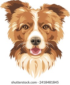 Portrait of a Border Collie dog isolated on white. Vector