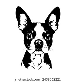 Portrait of a Boston Terrier Dog Vector isolated on white background, Dog Silhouettes svg