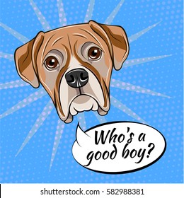 Portrait of Boxer dog. Who is a good boy. Vector illustration isolated on pop art background