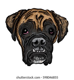 Portrait of Boxer puppy. Hand drawn dog illustration. T- shirt and tattoo concept design. Vector.