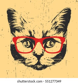 Portrait British Shorthair Cat and glasses  Hand drawn illustration  Vector 