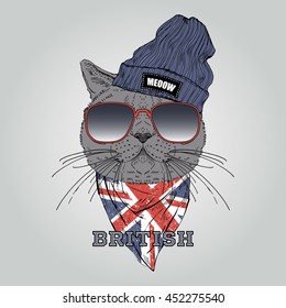 portrait of british shothair cat in beanie hat and bandana, hand drawn graphic