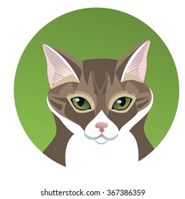 Portrait of brown striped cat face in circle. Cat's flat realistic head on green