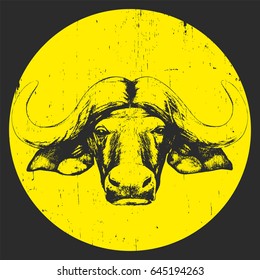 Portrait of Buffalo. Vector