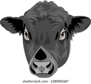 portrait of a bull