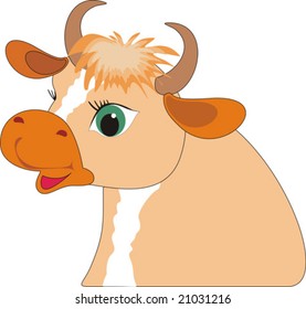 Portrait of the bull on a white background