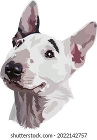 Portrait bull terrier vector illustration